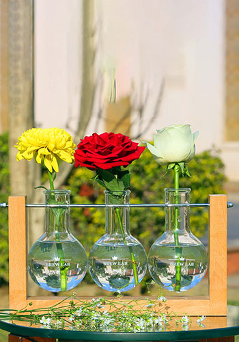 Wooden Table Top Flask Planter (3 Flasks)